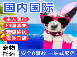高崎空运国际宠物托运 【国